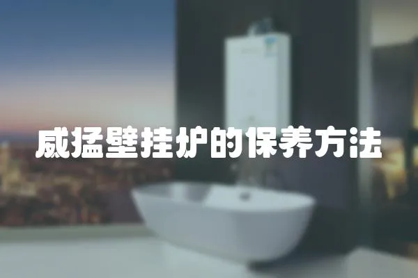 威猛壁掛爐的保養(yǎng)方法