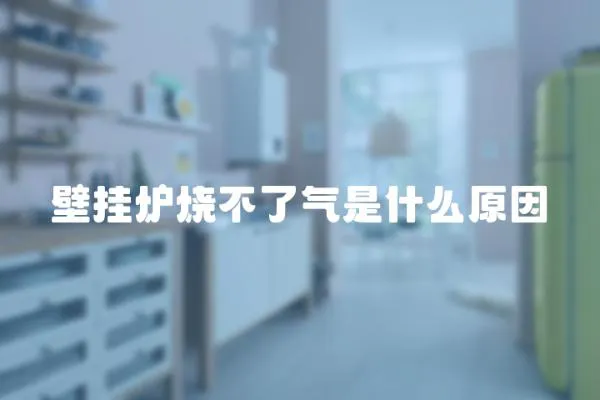 壁掛爐燒不了氣是什么原因