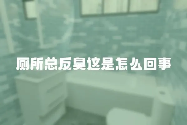 廁所總反臭這是怎么回事