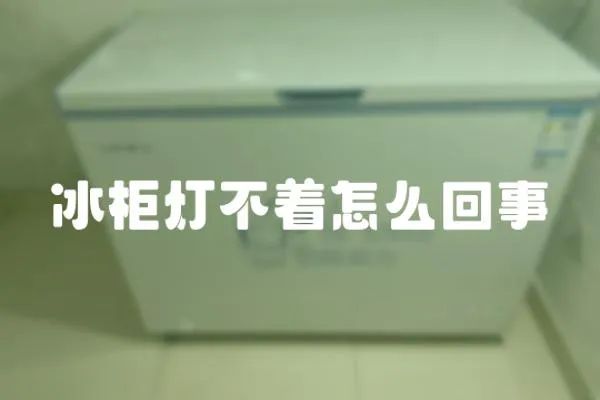 冰柜燈不著怎么回事