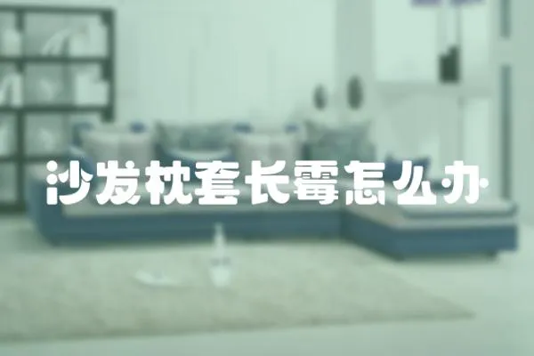 沙發枕套長霉怎么辦