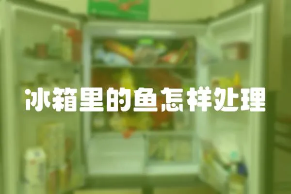 冰箱里的魚怎樣處理