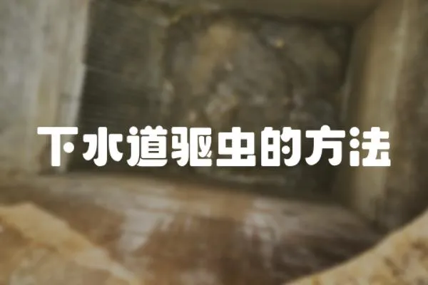 下水道驅蟲的方法