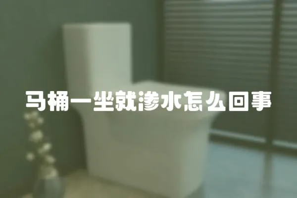 馬桶一坐就滲水怎么回事