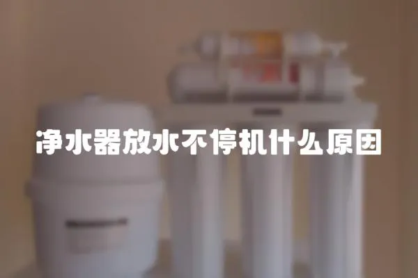 凈水器放水不停機什么原因