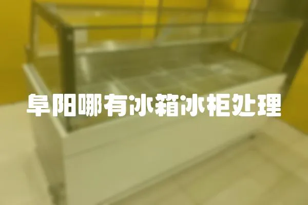阜陽哪有冰箱冰柜處理