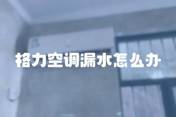 格力空調(diào)漏水怎么辦