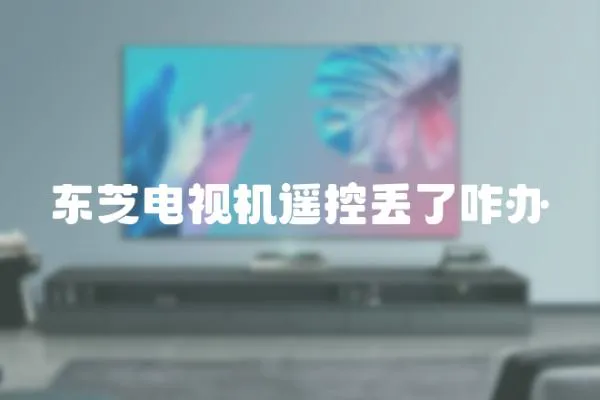 東芝電視機遙控丟了咋辦