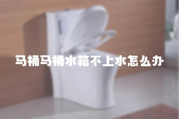 馬桶馬桶水箱不上水怎么辦