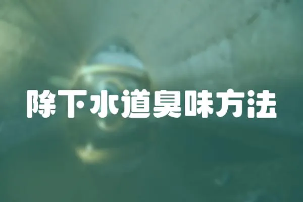 除下水道臭味方法