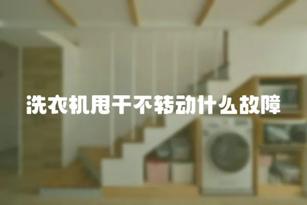 洗衣機甩干不轉動什么故障