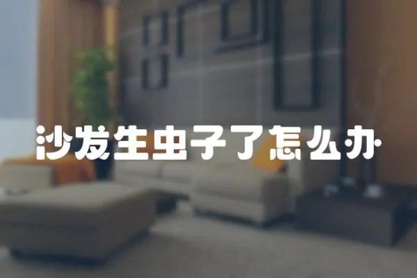 沙發(fā)生蟲子了怎么辦