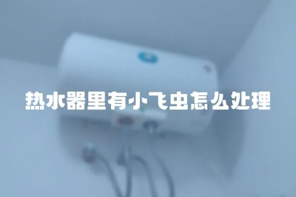 熱水器里有小飛蟲怎么處理