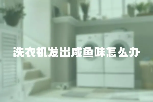 洗衣機發出咸魚味怎么辦