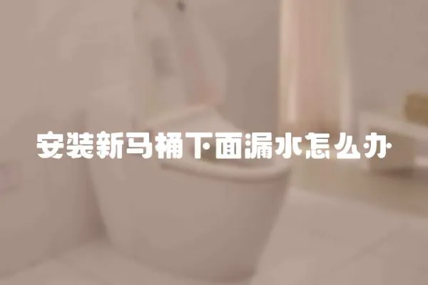 安裝新馬桶下面漏水怎么辦