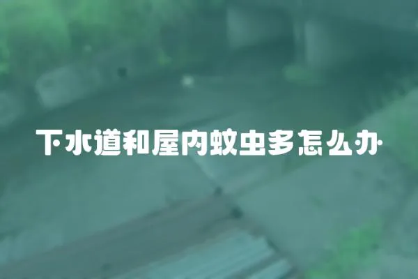 下水道和屋內(nèi)蚊蟲多怎么辦