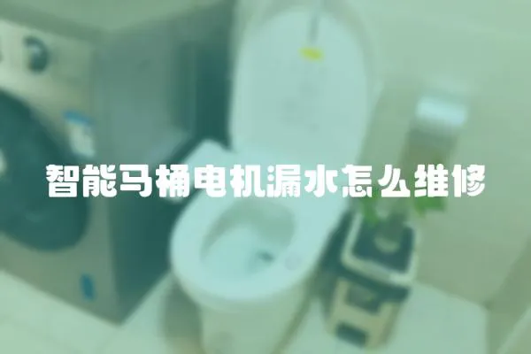 智能馬桶電機漏水怎么維修