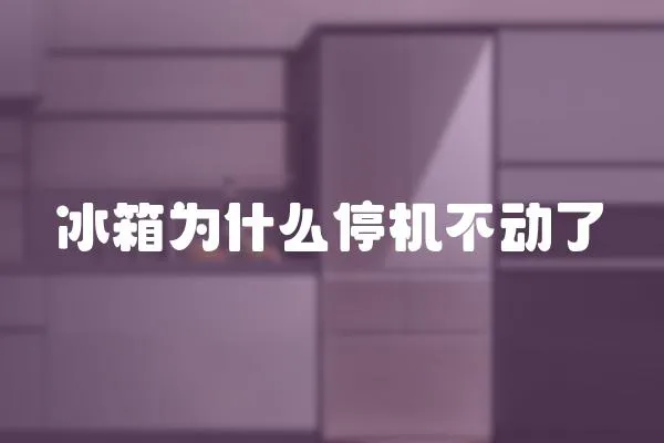 冰箱為什么停機不動了