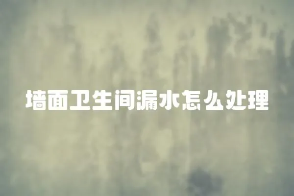 墻面衛(wèi)生間漏水怎么處理