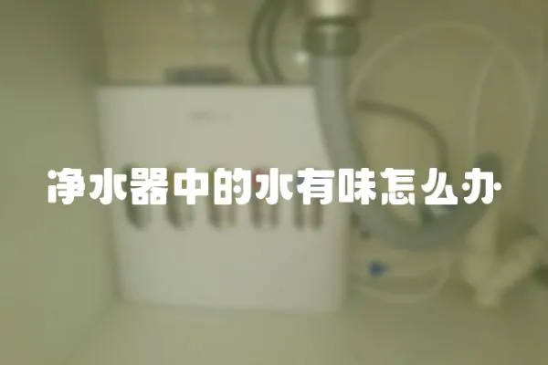 凈水器中的水有味怎么辦