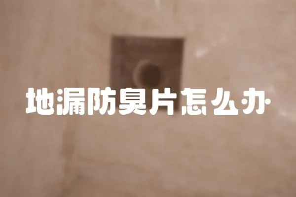 地漏防臭片怎么辦