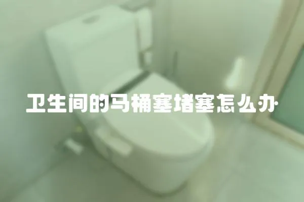衛生間的馬桶塞堵塞怎么辦