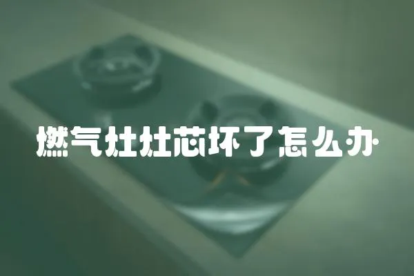 燃?xì)庠钤钚緣牧嗽趺崔k