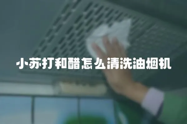 小蘇打和醋怎么清洗油煙機