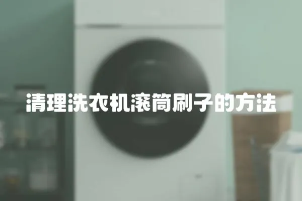 清理洗衣機滾筒刷子的方法