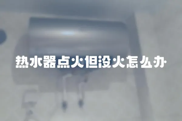 熱水器點火但沒火怎么辦