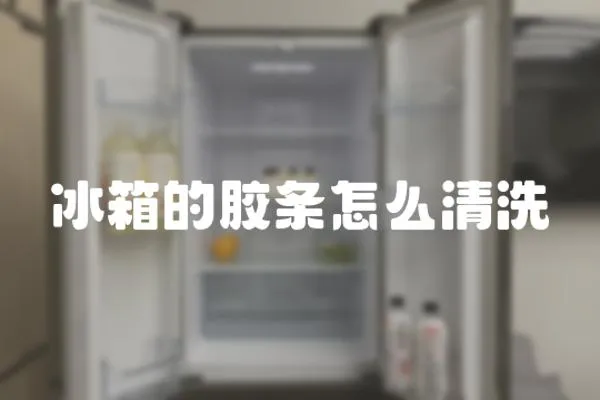 冰箱的膠條怎么清洗