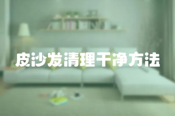 皮沙發清理干凈方法