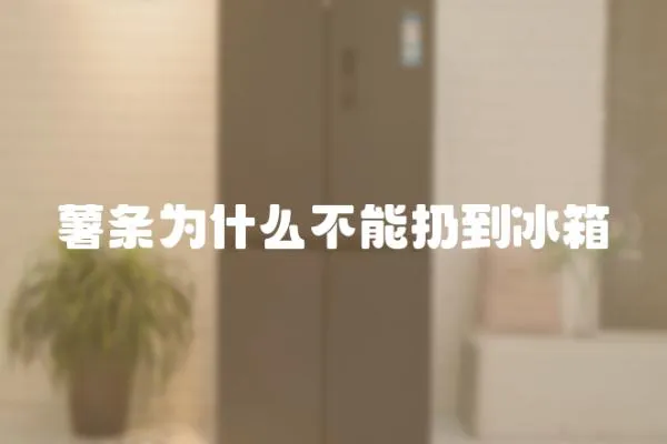 薯條為什么不能扔到冰箱