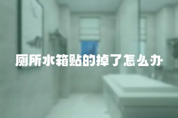 廁所水箱貼的掉了怎么辦