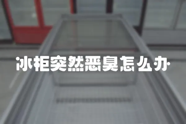 冰柜突然惡臭怎么辦