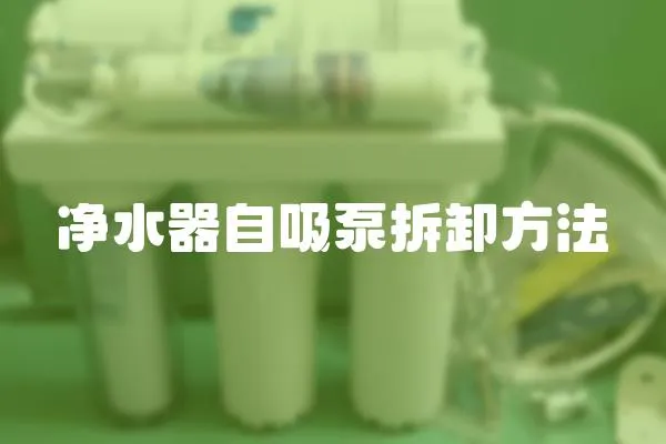 凈水器自吸泵拆卸方法