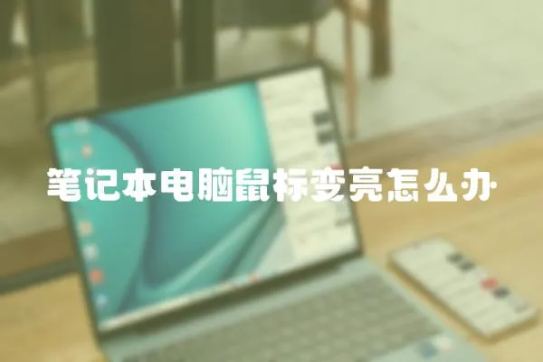 筆記本電腦鼠標(biāo)變亮怎么辦