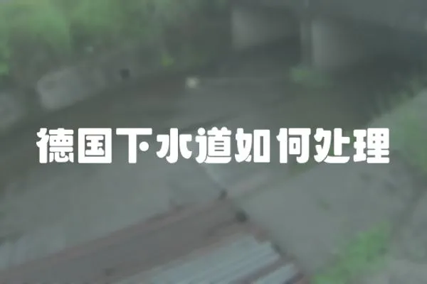 德國下水道如何處理