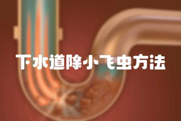 下水道除小飛蟲方法