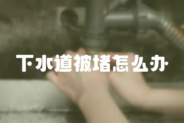 下水道被堵怎么辦