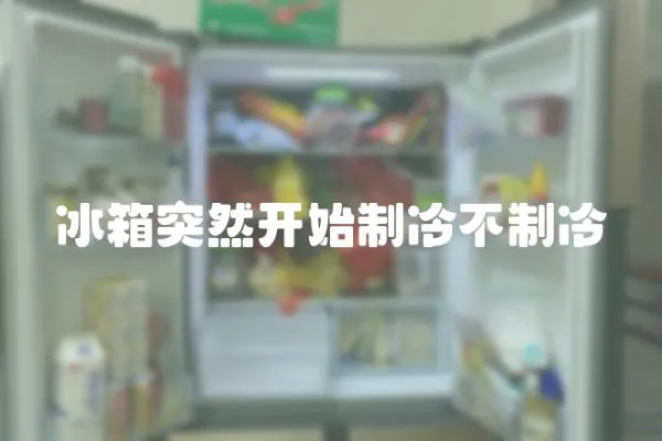 冰箱突然開始制冷不制冷