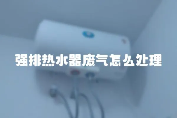 強排熱水器廢氣怎么處理