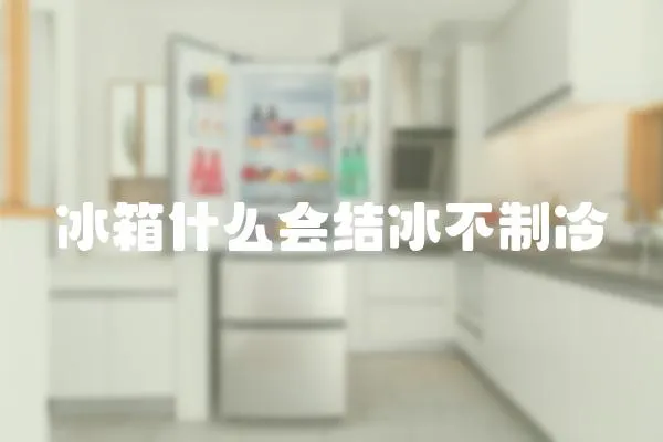 冰箱什么會結冰不制冷