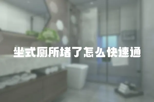 坐式廁所堵了怎么快速通