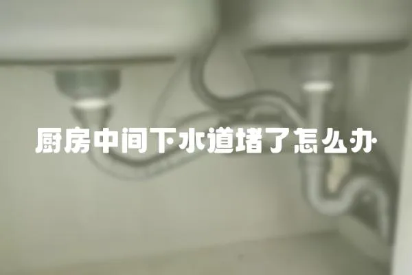 廚房中間下水道堵了怎么辦