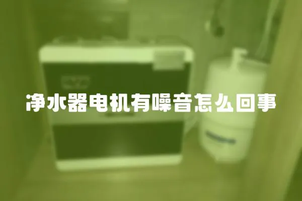 凈水器電機(jī)有噪音怎么回事