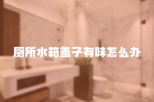 廁所水箱蓋子有味怎么辦