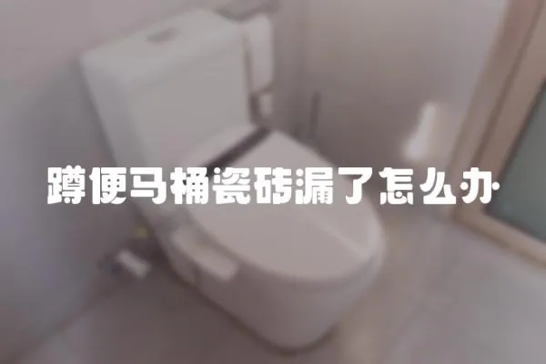 蹲便馬桶瓷磚漏了怎么辦