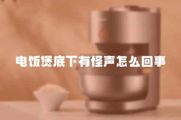 電飯煲底下有怪聲怎么回事
