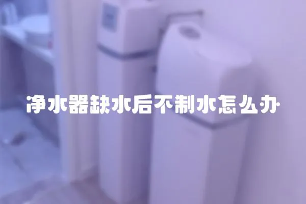 凈水器缺水后不制水怎么辦
